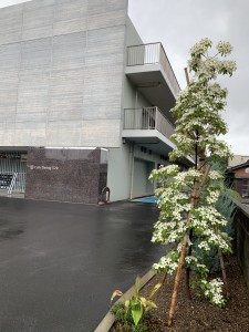 雨20190624