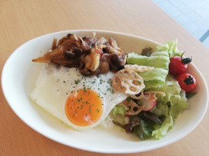 ロコモコ丼