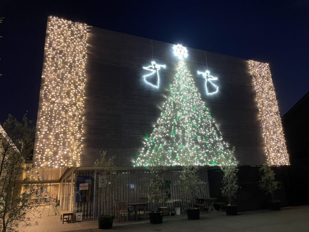 イルミネーションが始まりました！