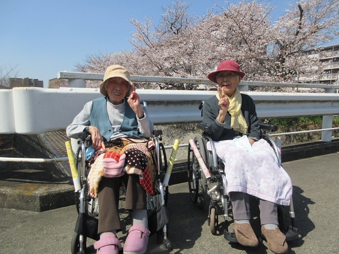 お花見❀